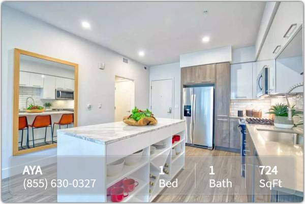 Charming 1 bed / 1 bath with great character! 724 Sq Feet 1