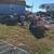 Junk Removal/Demolition/Cleanups/TREE REMOVAL/Landscaping 5 thumbnail
