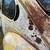 1973 Volkswagen Bug 13 thumbnail