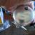 New Avet MXJ6/4 2 speed Fishing Reel with Line and Jigging Handle 1 thumbnail
