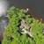 Private waterfront lake, sand beach, bar, 4 minutes to the chain, private launch 11 thumbnail