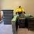 Moving services 8 thumbnail