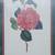Colorful J.J. Jung FLORAL Print In Gold Frame 2 thumbnail