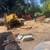 TREE &STUMP GRINDING &STUMP REMOVAL SERVICE 10 thumbnail