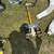 Ryobi Weed wacker attachments 1 thumbnail