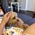 $45.00 / Night Dog Boarding - Toys, cuddles and belly rub? I’m in! 7 thumbnail