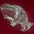 Swarovski Crystal Buffalo 624598 Retired 6” Figurine & Origina 5 thumbnail