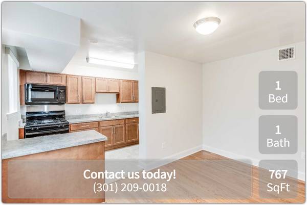 $1,539 / 1br - 767ft2 - Spacious 1 Bedroom. Available Now! (Hyattsville)64039861725443120