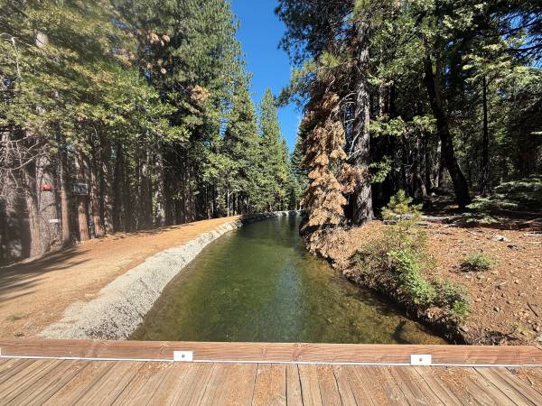 $169,000 Enjoy Nearby Lakes and Easy Access on 5.01 Acres (Nevada City)63952104072194121