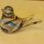 Glass Dove with Internal Highlights 1 thumbnail