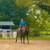 Horses 14 thumbnail