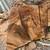 🌳 Large California Pepper Tree Burl Chunks – Exotic Wood for Turning & Furn 5 thumbnail