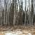 1.38 Acreage Burma road/Susitna parkway area. 1 thumbnail