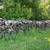 Seasoned firewood 6 thumbnail