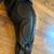 Joe Rocket Sonic 2.0 Men’s Leather Motorcycle Jacket - Large - Excellent Condi 11 thumbnail