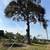 CHEAP CHEAP CHEAP CHEAP  “TREE SERVICE “ AND CONCRETE 13 thumbnail