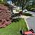 🌱 Reliable Lawn Care & Landscaping – 20% Off First Service! (Local) 5 thumbnail
