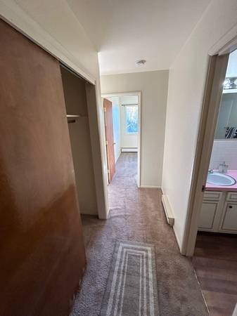 $1,380 / 2br - 590ft2 - Stunning 2 bed, 1 bath! Gorgeous floors, kitchens, & more (Anchorage)64004784021889122