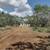 Land Clearing  brush shredding mesquite grubbing 3 thumbnail