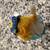 Disney - Alice in Wonderland Figure 6 thumbnail
