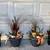 Fresh made fall patio planter porch pot display, autumn mini pumpkins 5 thumbnail