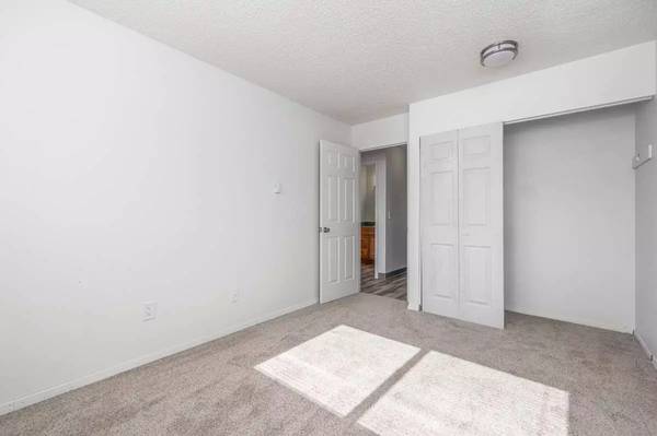 $1,465 / 2br - 900ft2 - Your fur baby's next favorite spot! 2 BD / 1 BA that's purrrfect! (Kennewick)63787037996033124