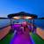 26’ Bennington Custom Tiki Bar Tri-Toon  (Tour Boat Business ) 14 thumbnail