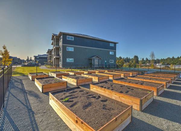 $1,549 / 2br - 833ft2 - Planos de piso espaciosos, mesa de billar, electrodomésticos negros Energy-Star (20104 Mountain Hwy E, Spanaway, WA)63659484282113123