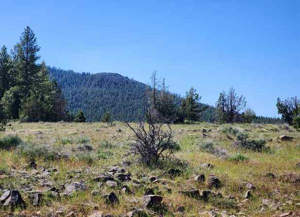 $125 /mes..¡Vistas a la montaña y casas pequeñas permitidas! 0.9 acres cerca de Alturas (Alturas, CA)63839293121923120