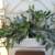 Plant in White Basket LOOKS REAL Iris + Frond Accents $180 Value 5 thumbnail