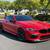 PPF - Vinyl wraps - Car wraps - Clear bra FINANCING AVAILABLE 12 thumbnail