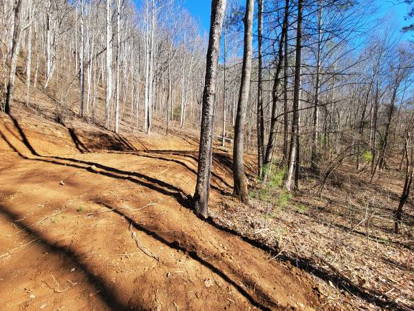 $239,000 20+ Acres of Unrestricted Land in Waynesville NC 28785 - Cove Creek Rd (Waynesville)64029206965507122