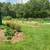 Income producing farm 4 thumbnail