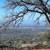 80 Acres with Fantastic Valley Views Lake Oroville Area 5 thumbnail