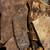 Flagstone for sale 5 thumbnail