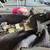 Gmc chevy 4x4 front differential 2 thumbnail