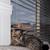 kitten 1 thumbnail