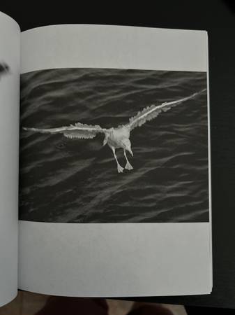 private yoga lessons 1