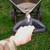 Suncast LAWN SEEDER 2 Wheel Grass Seed Adj Spreader Garden Plant 10 thumbnail
