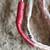 Kimber Kable 4TC speaker cables 2 thumbnail