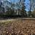 3 Acres For Sale! 20 thumbnail