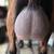 ADGA Reg Nigerian Dwarf yearling milker 2 thumbnail