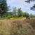 Overgrown properties, blackberry removal, Forestey Mulching 3 thumbnail