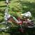 Vintage New 90's Girls's 20 inch Murray  Bicycle, 2 Speed Made in USA 5 thumbnail