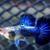 Baby Guppies Blue Dragon Guppy 4 dollars fish 1 thumbnail