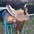 Saddle 17 thumbnail