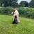 Professional Dog Training & Boarding Services Available for barter 6 thumbnail