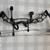 Apa Black Mamba 31" 60# compound bow 4 thumbnail