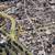 Lote comercial de 1000m2 renta cerca del Panteon y linea internacional 23 thumbnail