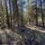 #29 Crescent Moon Drive ~ 1.15 Acres   >>> Diamond Meadows<<< 1 thumbnail
